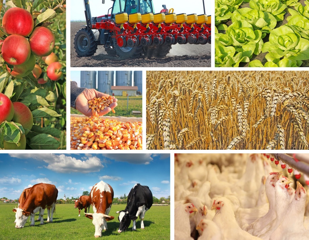 Управление сельского хозяйства администрации Ивнянского района сообщает о проведении конкурса:.