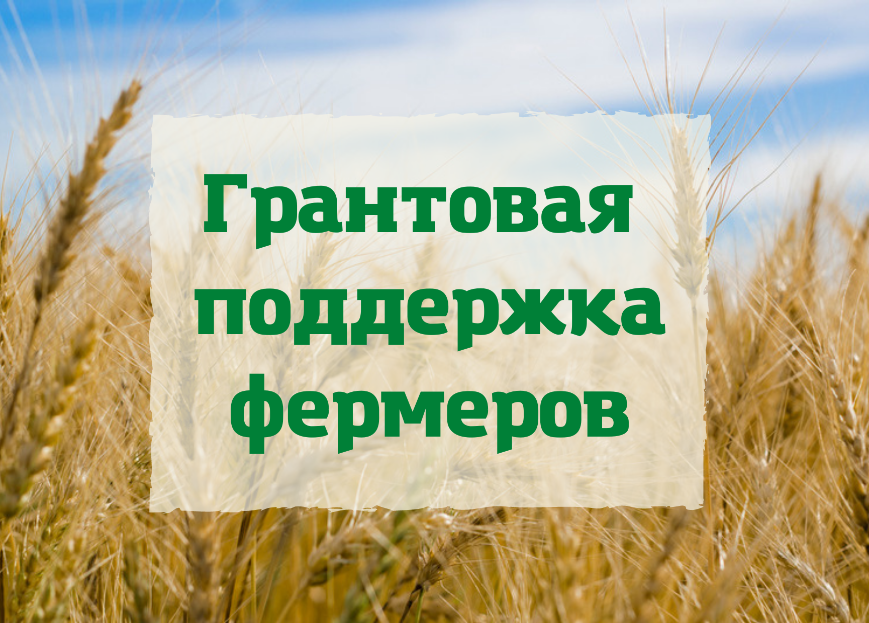 Министерством сельского хозяйства и продовольствия Белгородской области  объявлен 3-ий тур Конкурсного отбора граждан и крестьянских (фермерских) хозяйств или индивидуальных предпринимателей для предоставления грантов &quot;Агростартап&quot;.