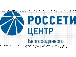 Президент России наградил сотрудников «Россети Центр» государственными наградами.