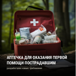 Новые требования к размещению, хранению и использованию аптечек для оказания первой помощи. Новые требования к размещению, хранению и использованию аптечек для оказания первой помощи.